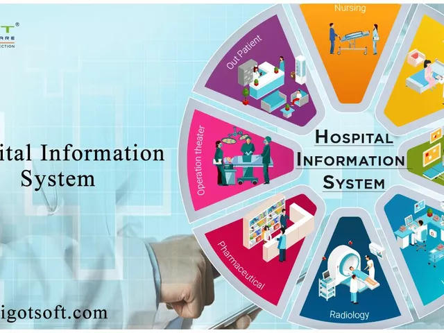 What is health care management system?